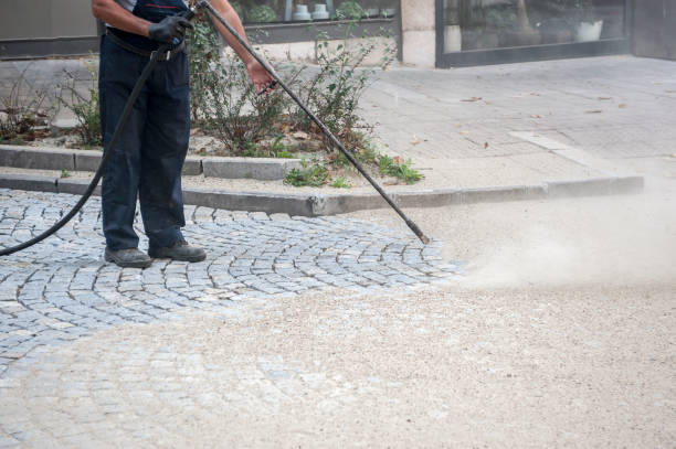 Best Soft Washing for Delicate Surfaces in Holly Springs, NC